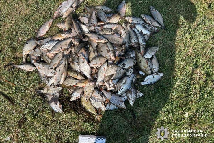 46-річний житель Болградського району завдав державі збитків на понад 320 тисяч гривень