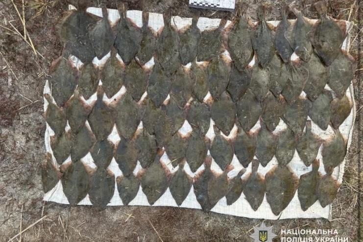 Поліцейські викрили двох жителів Білгород-Дністровського району у браконьєрстві на території Національного природного парку «Тузлівські лимани»