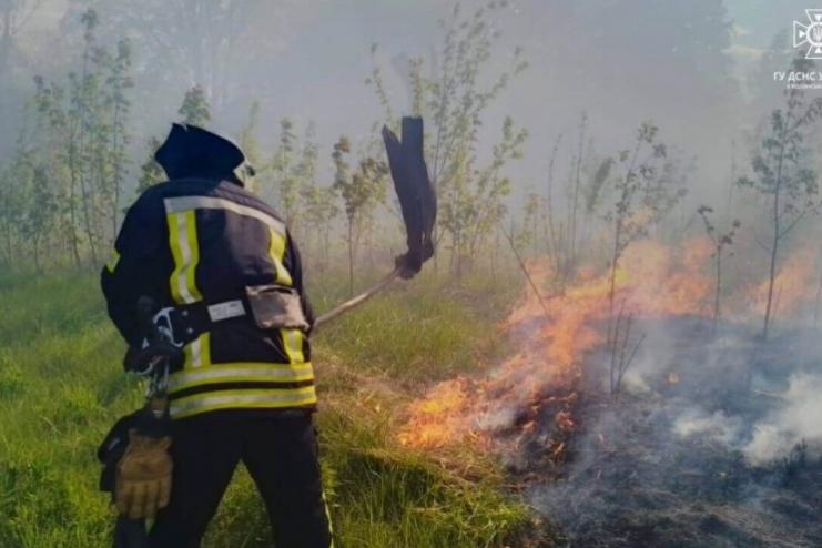 В Ізмаїльському районі рятувальники ліквідували масштабну пожежу на полі 