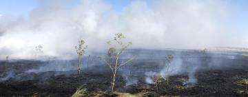 154 пожежі за пів року: Болградщина палає через людську безвідповідальність