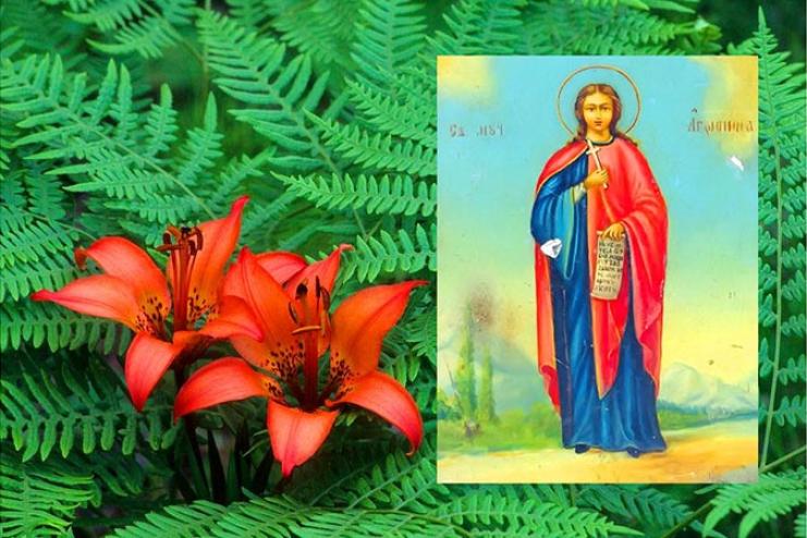 6 липня. Пам'ять мучениці Агрипини Римлянині