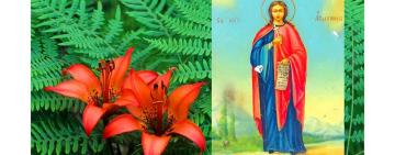 6 липня. Пам'ять мучениці Агрипини Римлянині