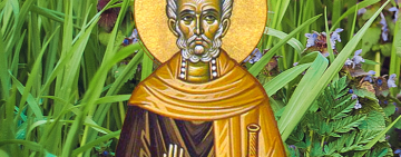 10 июля. Память преподобного Сампсона Странноприимца 