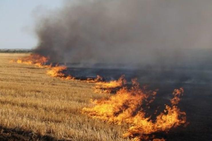 Бессарабія в диму: стерню палять, відповідальних не видно