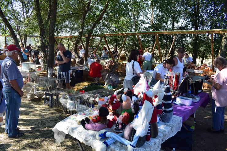 Свято крафту, традицій і єдності: як в Арцизі пройшов літній ярмарок на Кінному дворі