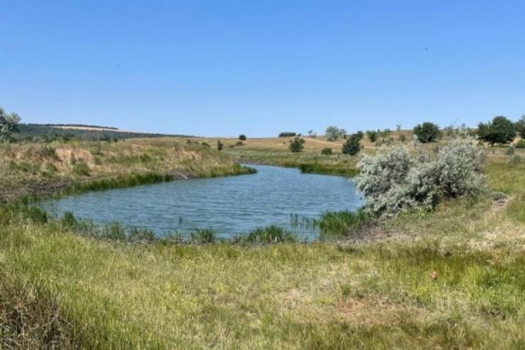 На Одещині судитимуть чоловіка за незаконне викопування водойми на землях водного фонду