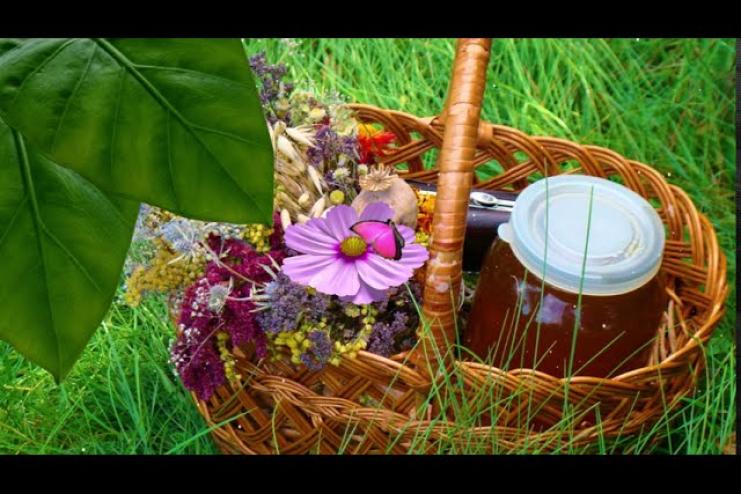 Что освящают в православных храмах 14 августа на Медовый или Цветочный Спас? 