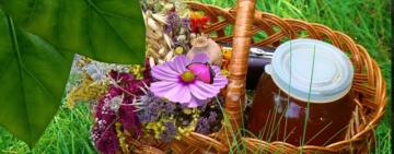 Что освящают в православных храмах 14 августа на Медовый или Цветочный Спас? 