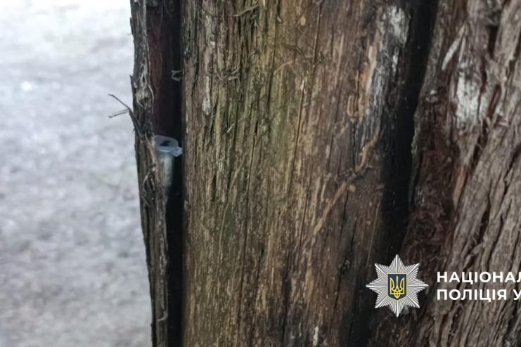 У Болграді затримали жінку, яка розкладала «закладки» з психотропами