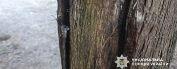 У Болграді затримали жінку, яка розкладала «закладки» з психотропами