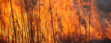 Внаслідок пожежі на Болградщині одна людина загинула