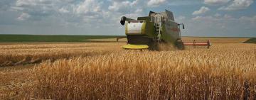 Одеська область – лідер зернового врожаю в Україні