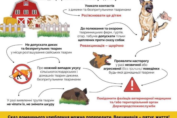 На Одещині різко зросла кількість постраждалих від укусів тварин