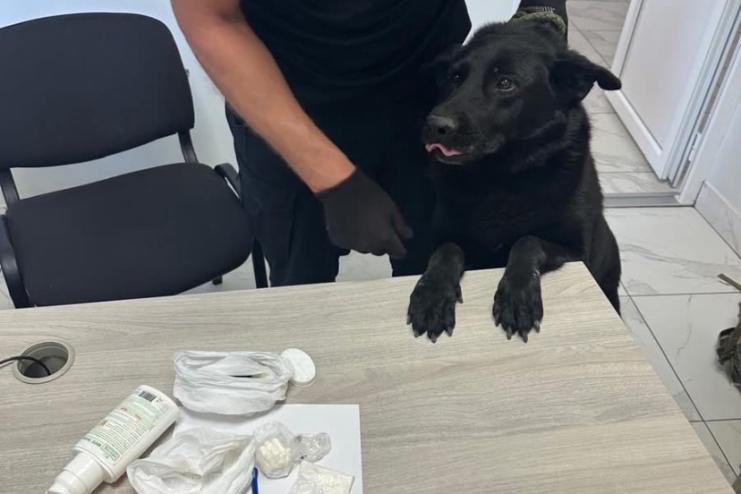 На Одещині прикордонники виявили наркотики у багажі громадянина Франції