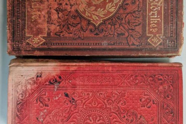 На Одещині митники запобігли вивезенню старовинних книг до Болгарії