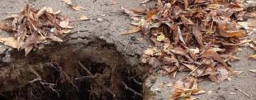 В Ізмаїльському районі жінка зламала хребет, впавши у триметровий підвал