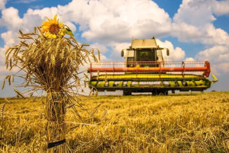 Аграрії Одещини тріумфують над посухою: зібрано 3,7 млн тонн зерна попри всі виклики!