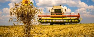 Аграрії Одещини тріумфують над посухою: зібрано 3,7 млн тонн зерна попри всі виклики!