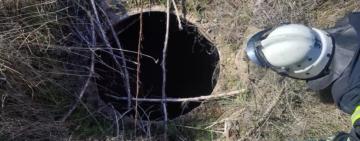 У Рені рятувальники врятували цуценя, яке впало у колодязь 