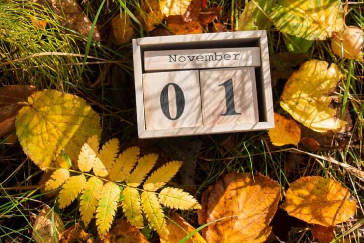 Від Дня Гідності до Дня винороба: чим насичений листопад 2025 року