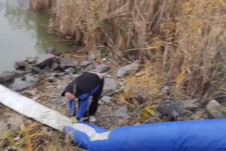 Озеро Сасик поповнили понад 374 тисячами молоді товстолоба