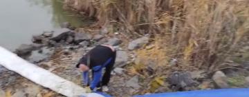 Озеро Сасик поповнили понад 374 тисячами молоді товстолоба