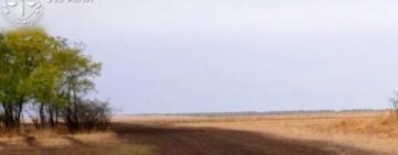 Спецпрокуратура Південного регіону повернула державі 2 гектари земель оборони, незаконно переданих у приватну власність