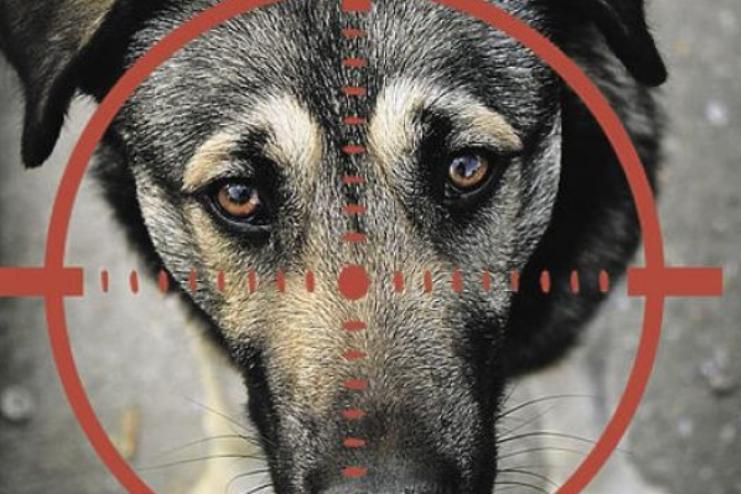 Із гвинтівки застрелив сусідського собаку: жителя Одеського району скерували до суду