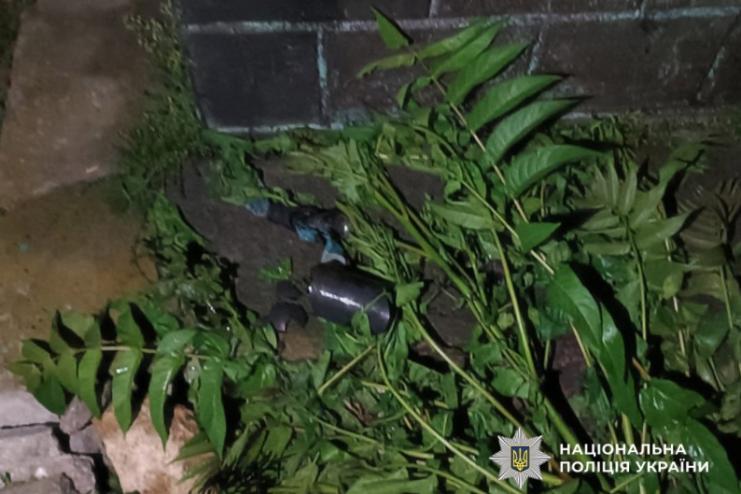 На лаву підсудних відправили 18-річного жителя Березівського району за спробу підпалу будинку знайомої