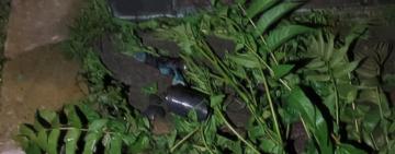 На лаву підсудних відправили 18-річного жителя Березівського району за спробу підпалу будинку знайомої