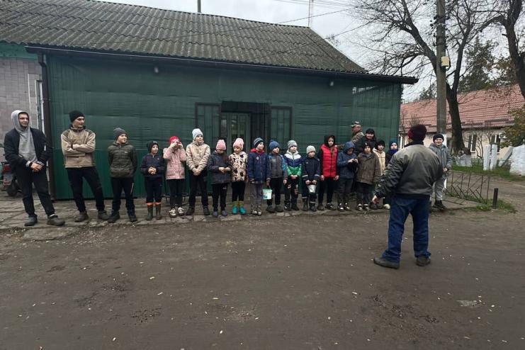 Алея Добра в Теплицькій громаді: коли маленькі руки роблять великі справи під керівництвом тренера Акчурина Сергія