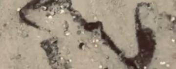 У Затоці знову зафіксували забруднення узбережжя мазутом: пляж вкрила темна смуга завдовжки в кілометр