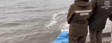 У Дністровський лиман випустили понад 28 тонн молоді риб