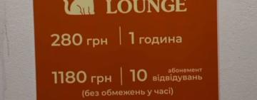 «Оренда кошенят» в Одесі: поліція відкрила кримінальне провадження через загибель тварин