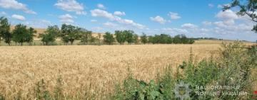 У Бессарабській громаді викрили самовільне захоплення земель у водоохоронній зоні