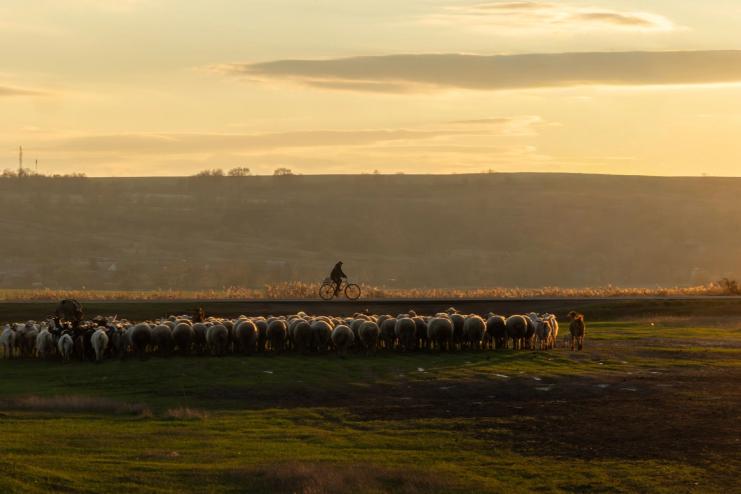 Арциз і Бессарабія в об’єктиві 2025 року: традиції, життя та дух нашого краю