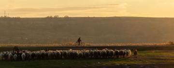 Арциз і Бессарабія в об’єктиві 2025 року: традиції, життя та дух нашого краю