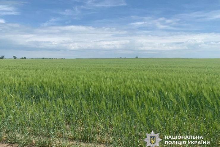 Підприємцю з Болградського району оголосили підозру за самовільне захоплення 19 гектарів землі