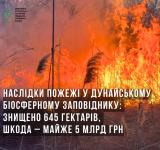 Майже 5 млрд грн збитків: пожежа знищила 645 гектарів Дунайського біосферного заповідника