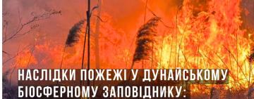 Майже 5 млрд грн збитків: пожежа знищила 645 гектарів Дунайського біосферного заповідника