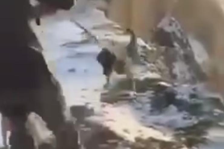 Коли «гра» переходить межу: на Ізмаїльщині поліція відреагувала на жорстоке поводження з собакою