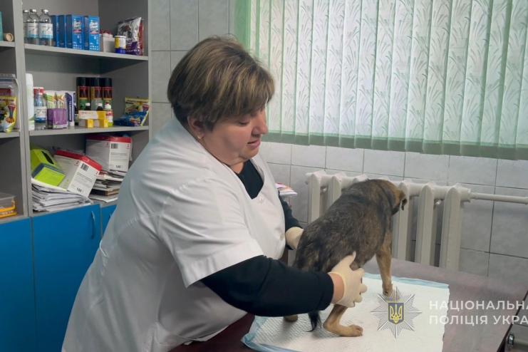 Жорстоке поводження з твариною на Ізмаїльщині: поліція відкрила кримінальне провадження