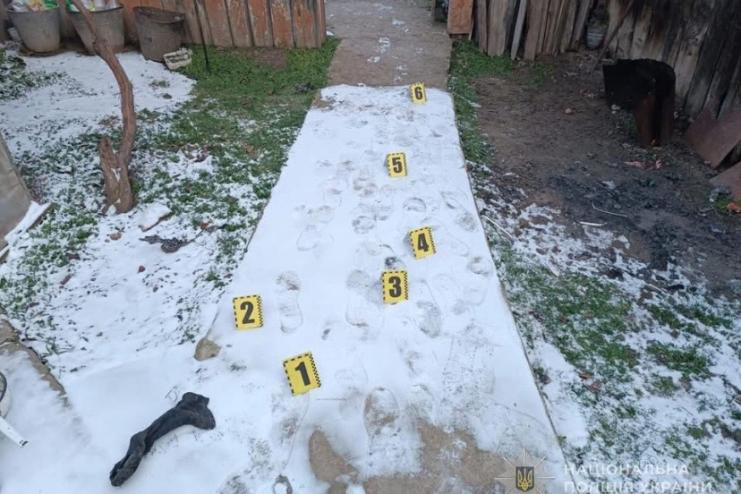 Літнє подружжя та онук постраждали від нічного нападу: нападників взяли під варту