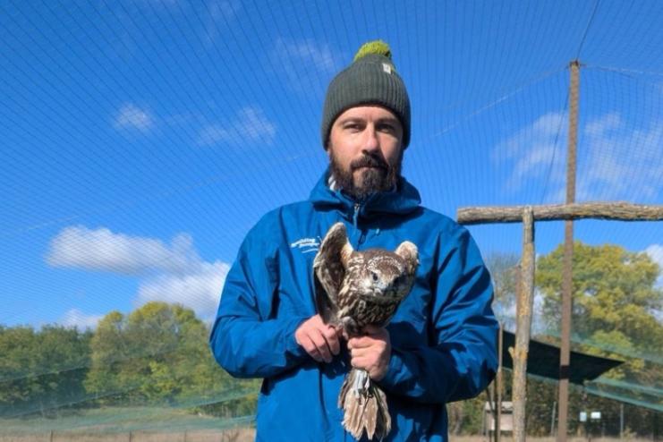 На Одещині у Тарутинському степу випустили сокола балабана — хижака, що відновлює природну рівновагу