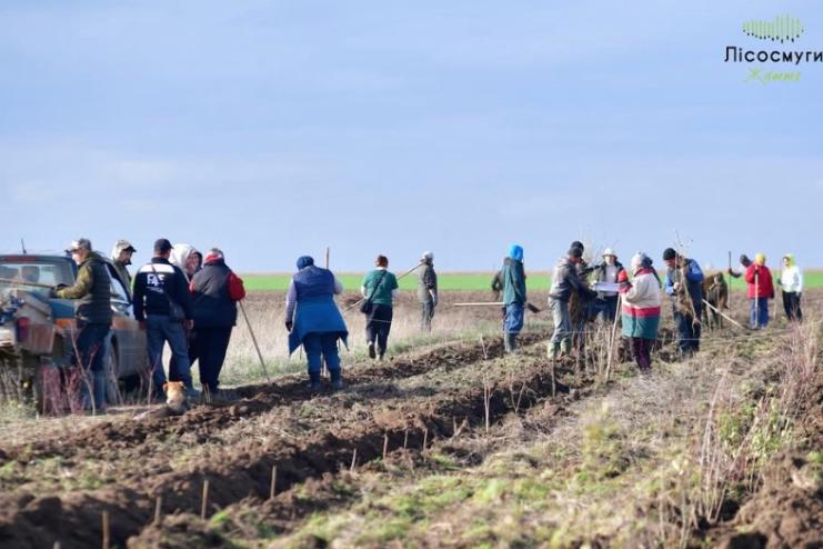 Рукотворний оберіг Тузлівських лиманів: у нацпарку створюють «смуги життя»