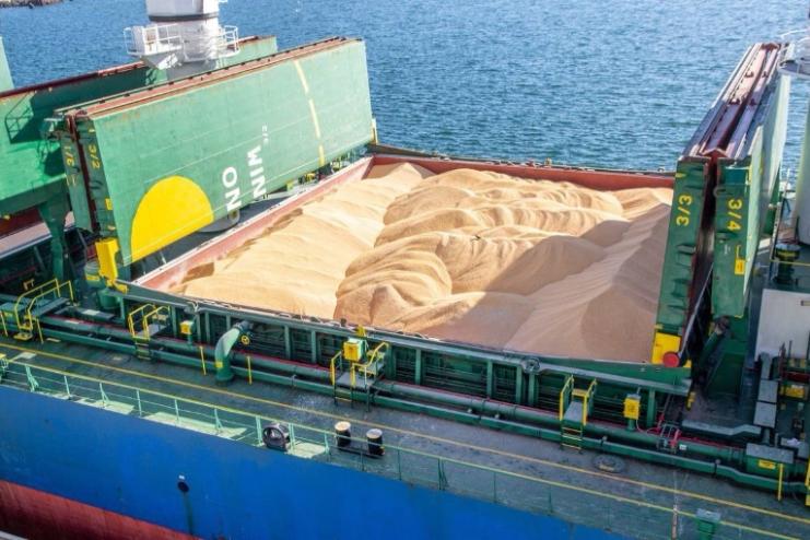 Через український морський коридор перевезено 100 млн тонн зерна 