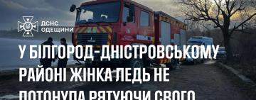 Рятуючи собаку з крижаної води: у Білгород-Дністровському районі жінка ледь не загинула