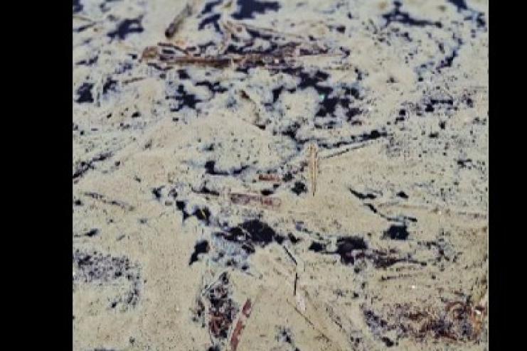 Олійна пляма досягла «Тузлівських лиманів»: наслідки дронової атаки продовжують загрожувати Чорному морю