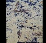 Олійна пляма досягла «Тузлівських лиманів»: наслідки дронової атаки продовжують загрожувати Чорному морю