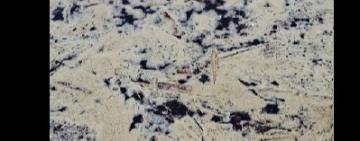 Олійна пляма досягла «Тузлівських лиманів»: наслідки дронової атаки продовжують загрожувати Чорному морю